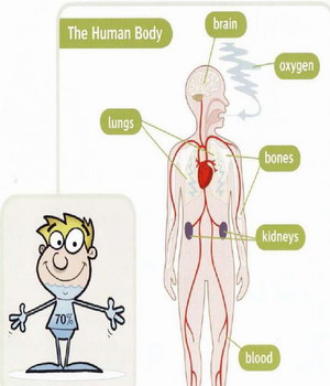 Bones oxygen. Human body 70% Water. Brain and Oxygen. Bones Oxygen перевод текста.